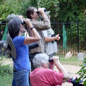 bird watchers